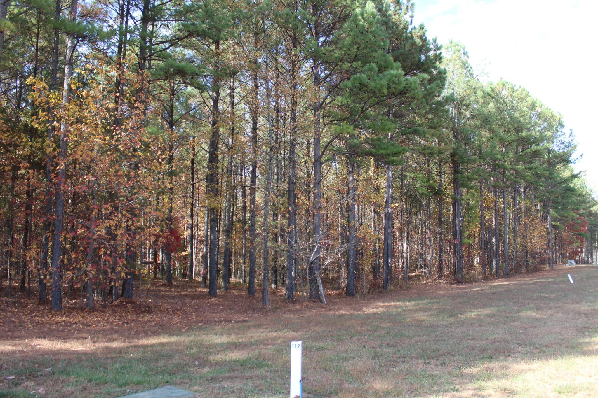 465 Compass Drive Property Photo 3