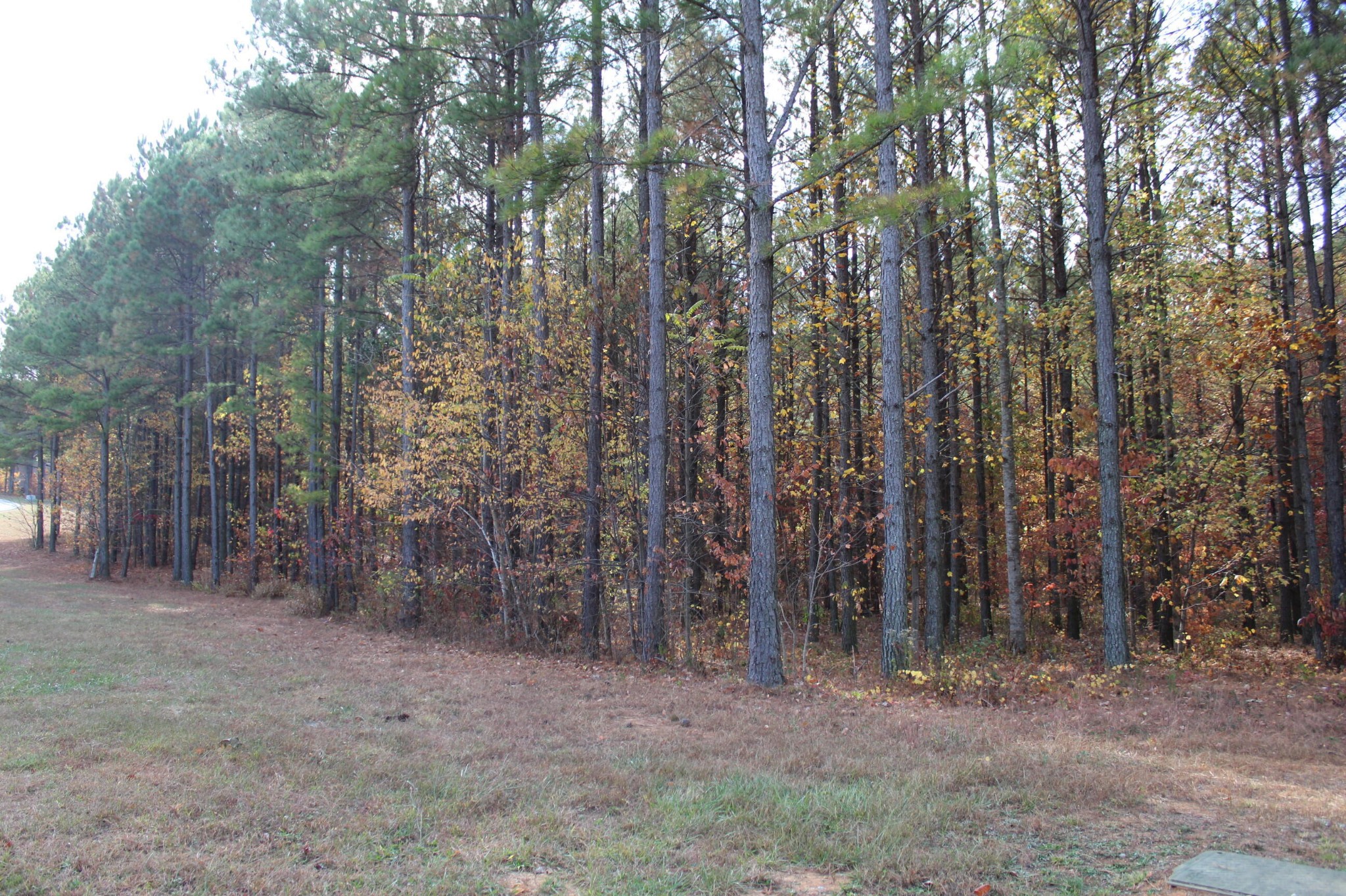 465 Compass Drive Property Photo 5