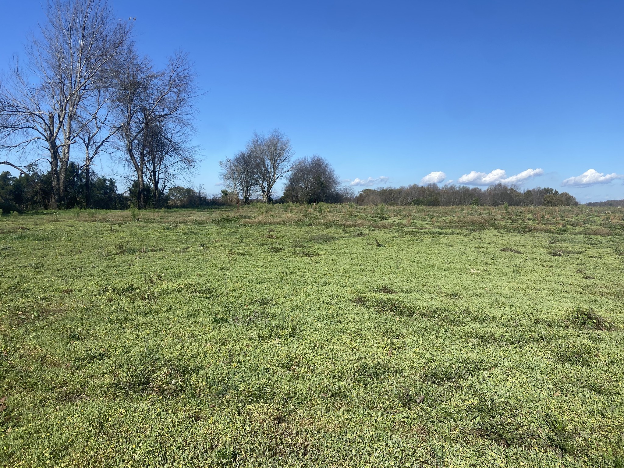 0 Shelbyville Road Property Photo