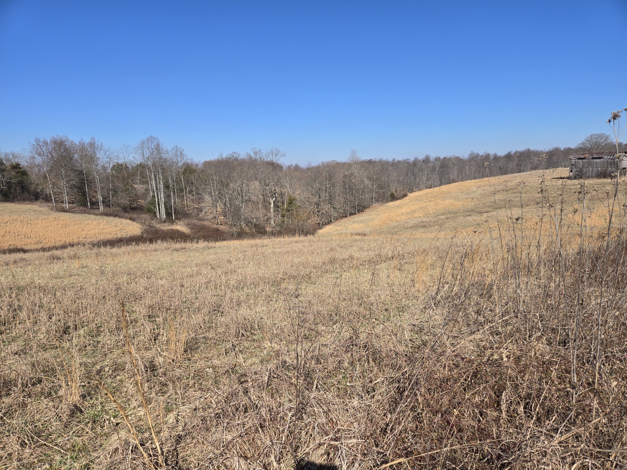 0 Lot 10 & 11 Rose Hill Road Property Photo 7