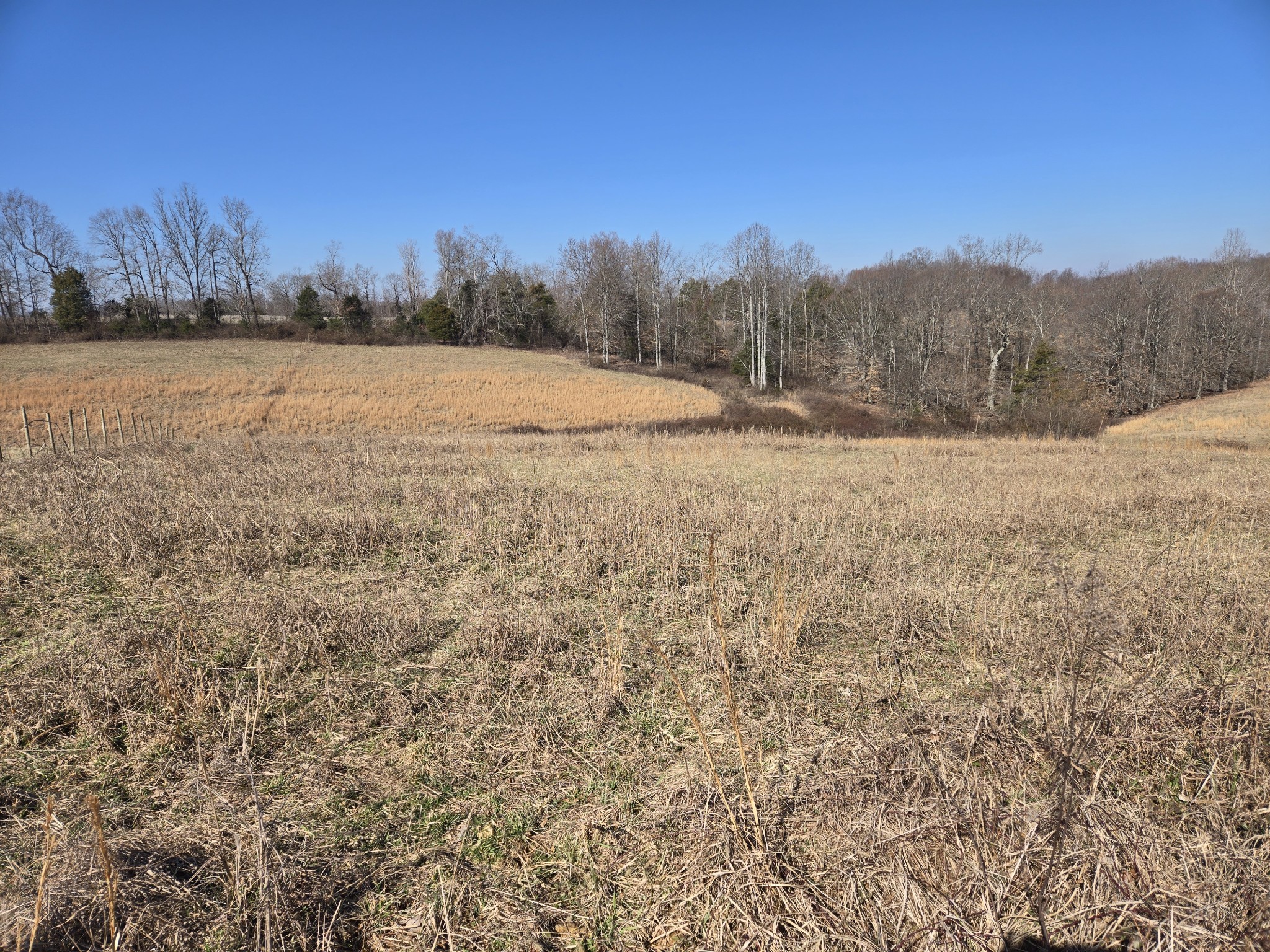 0 Lot 10 & 11 Rose Hill Road Property Photo 8