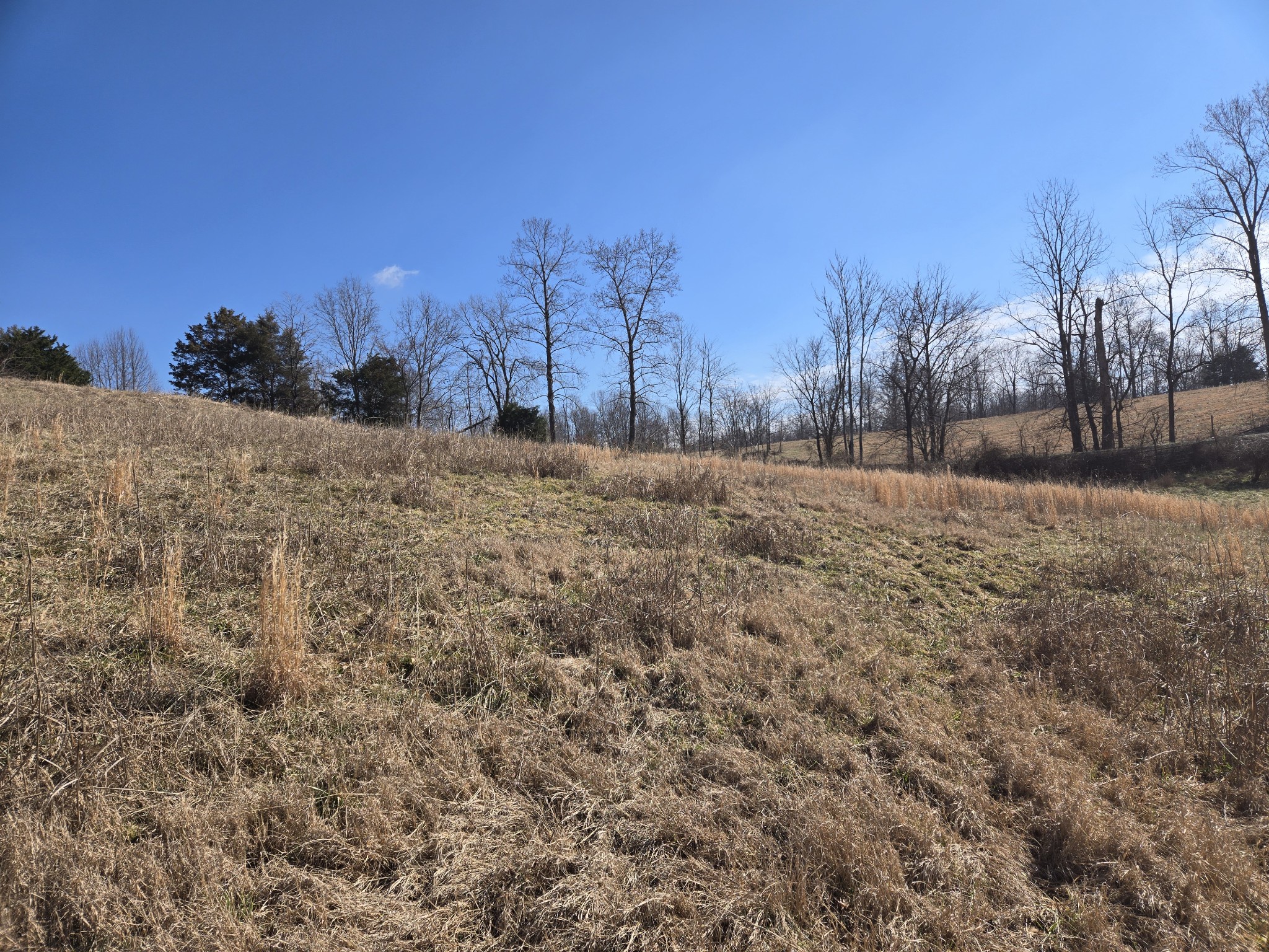 0 Lot 10 & 11 Rose Hill Road Property Photo 10