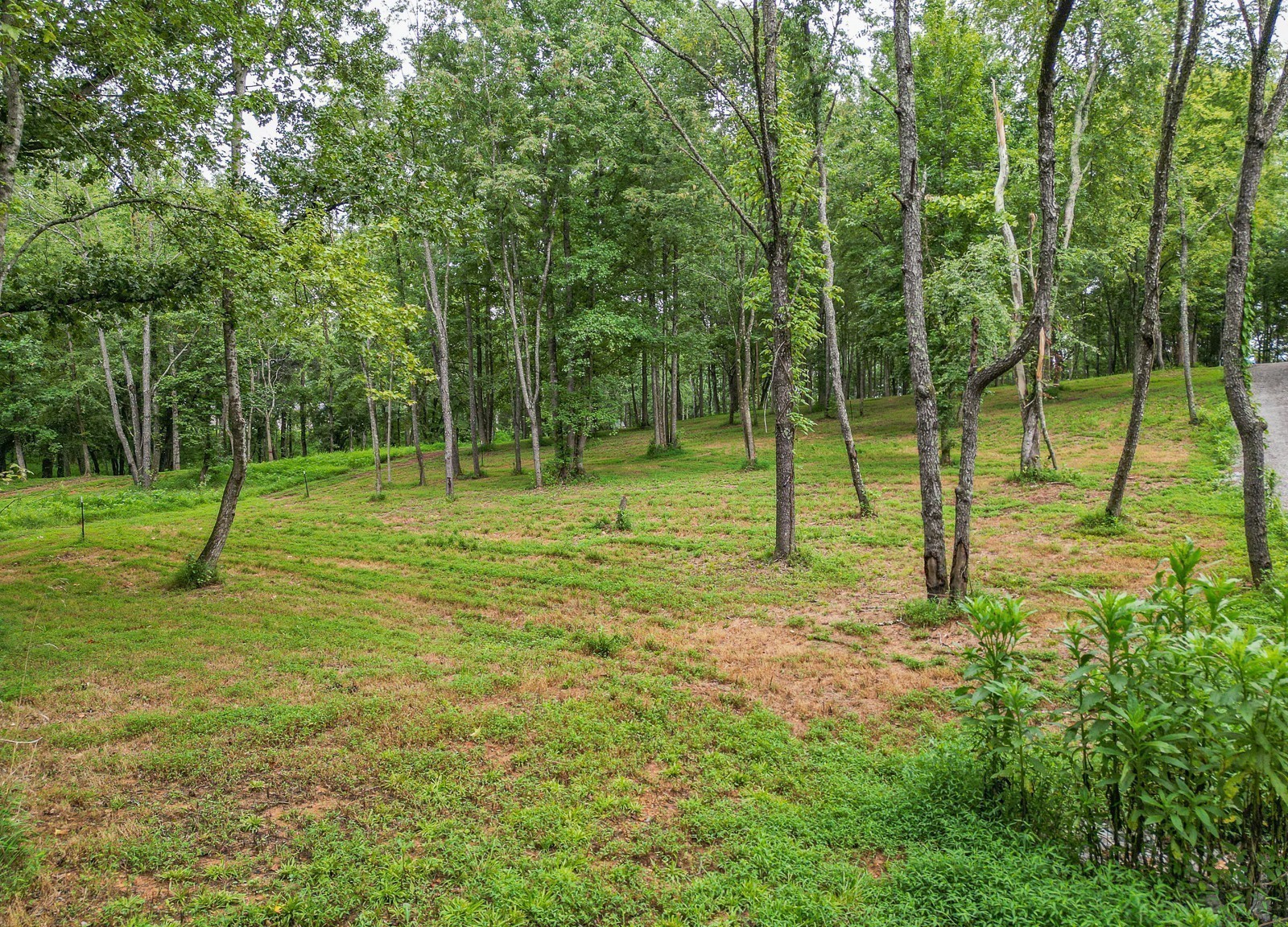 0 Flippen Rd Property Photo 18