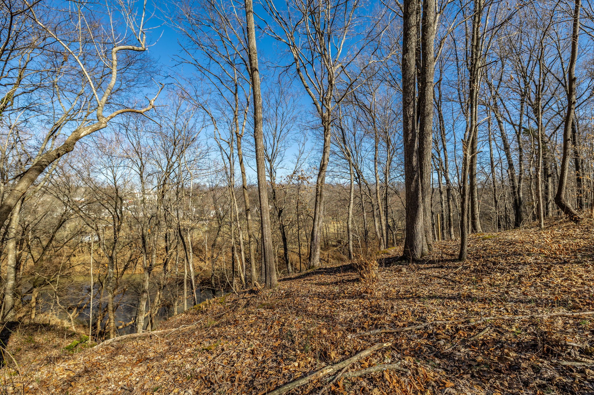 1478 Mcclardy Rd Property Photo 26