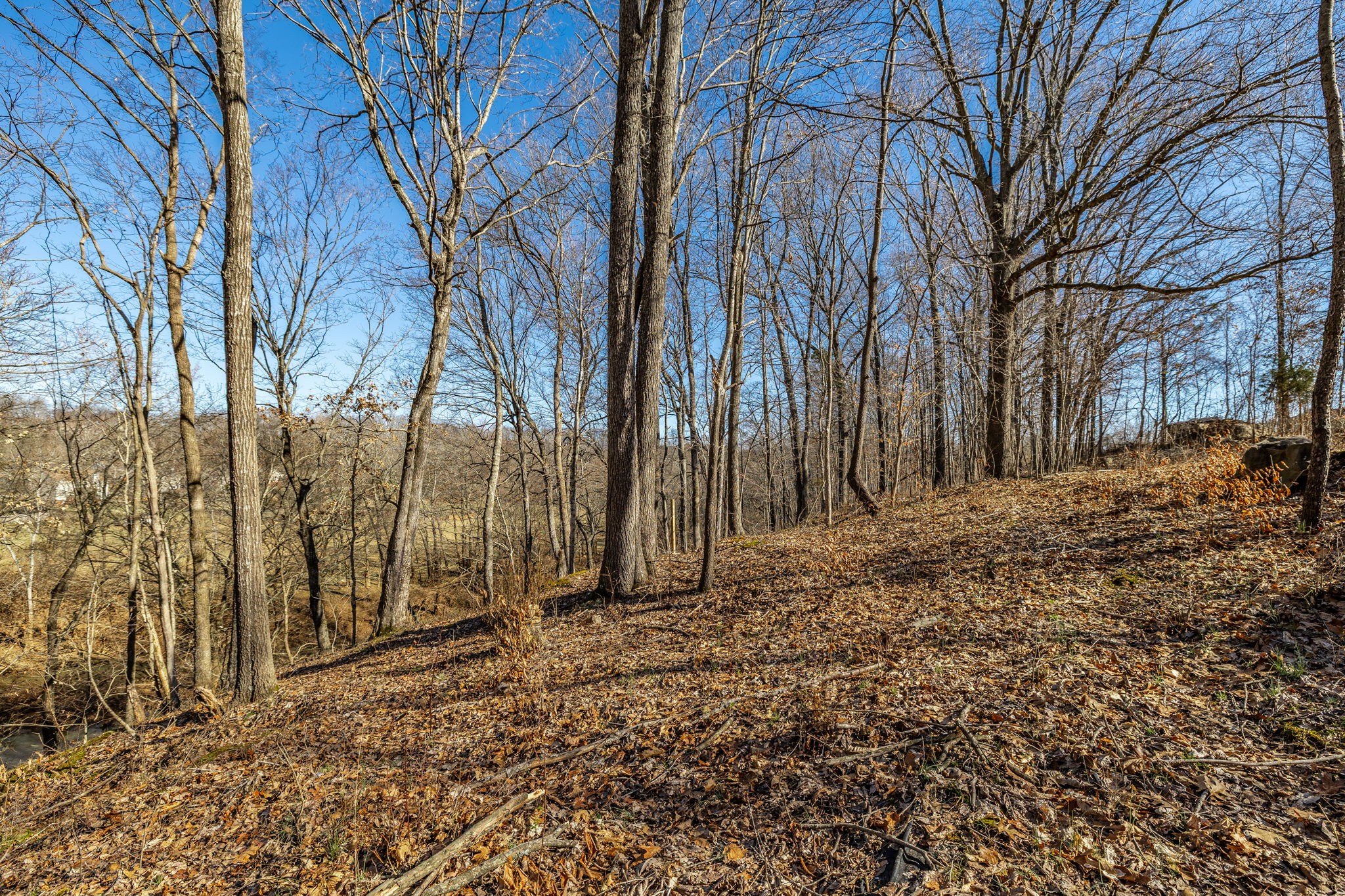 1478 Mcclardy Rd Property Photo 27