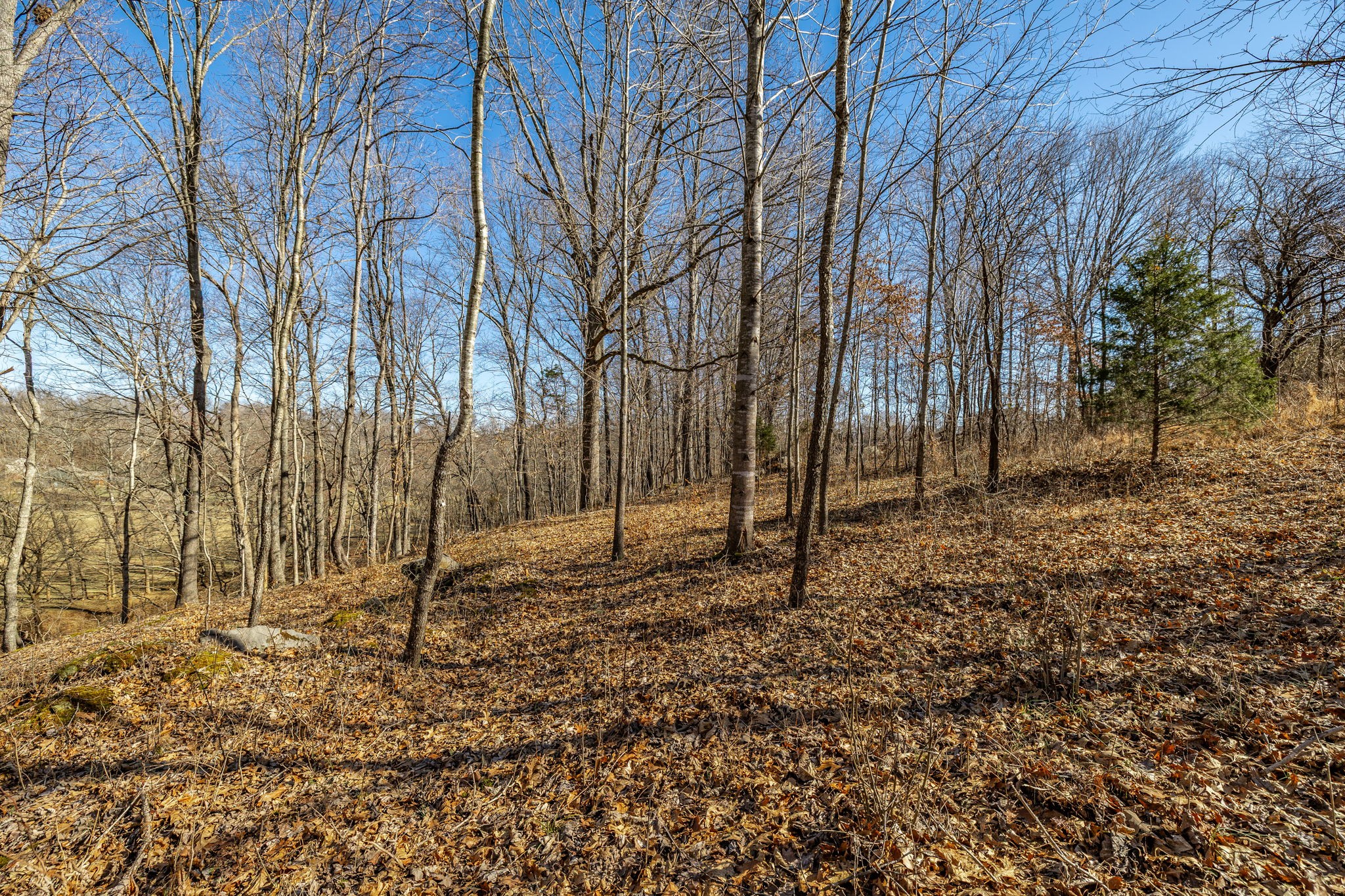 1478 Mcclardy Rd Property Photo 28