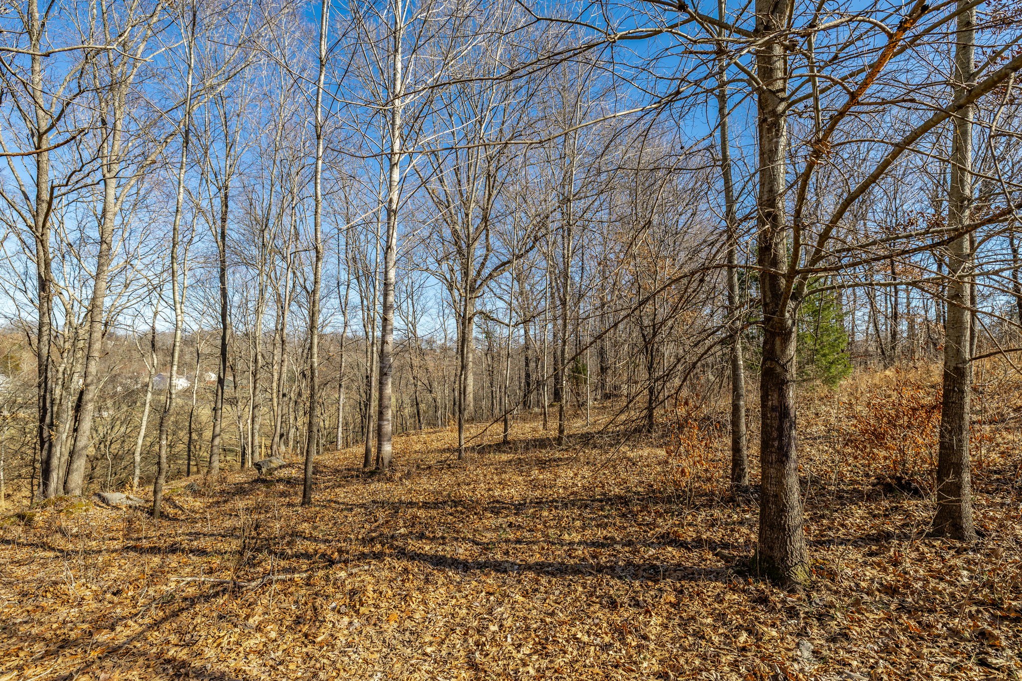 1478 Mcclardy Rd Property Photo 29