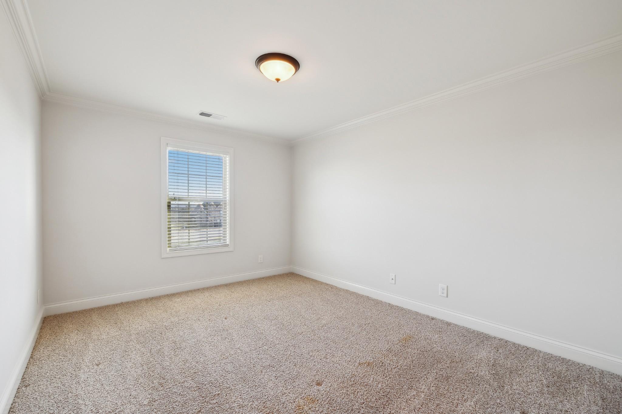 115 Springfield Dr Property Photo 31