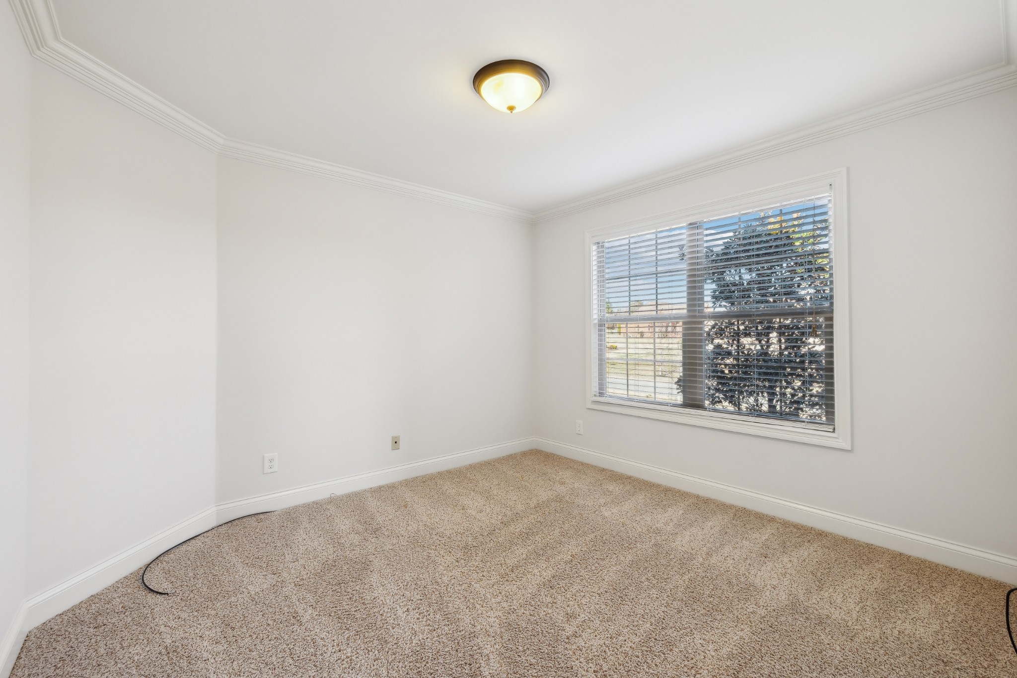 115 Springfield Dr Property Photo 32