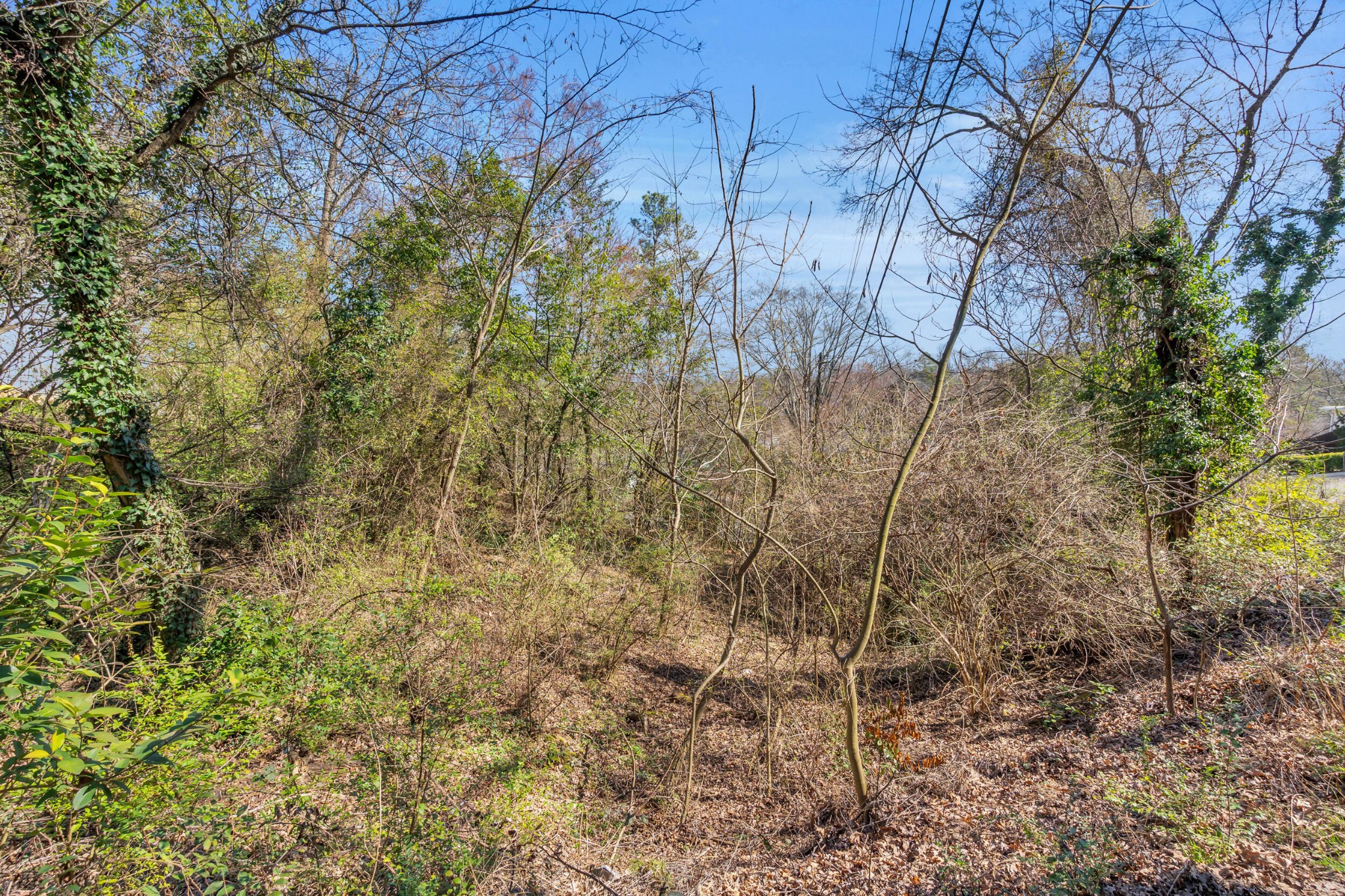2896 Donna Lane Property Photo 13