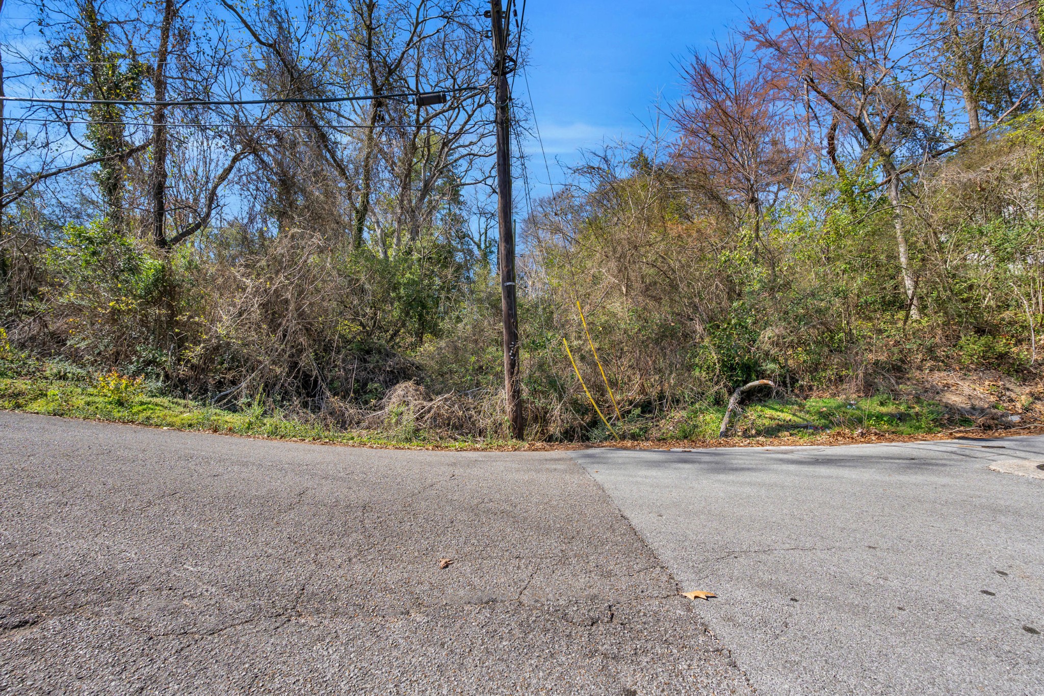 2896 Donna Lane Property Photo 15