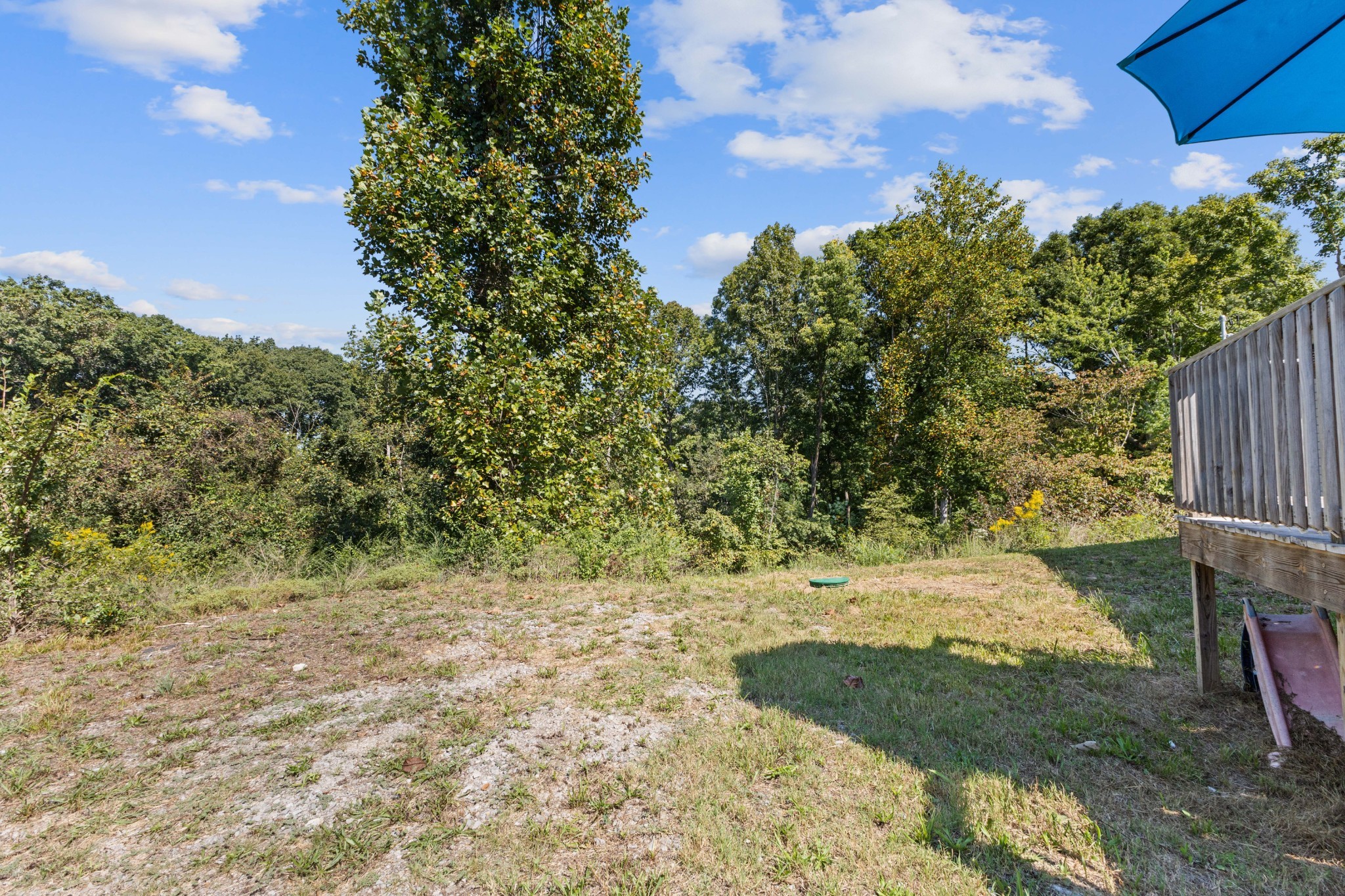 1019 Dogwood Ln Property Photo 27