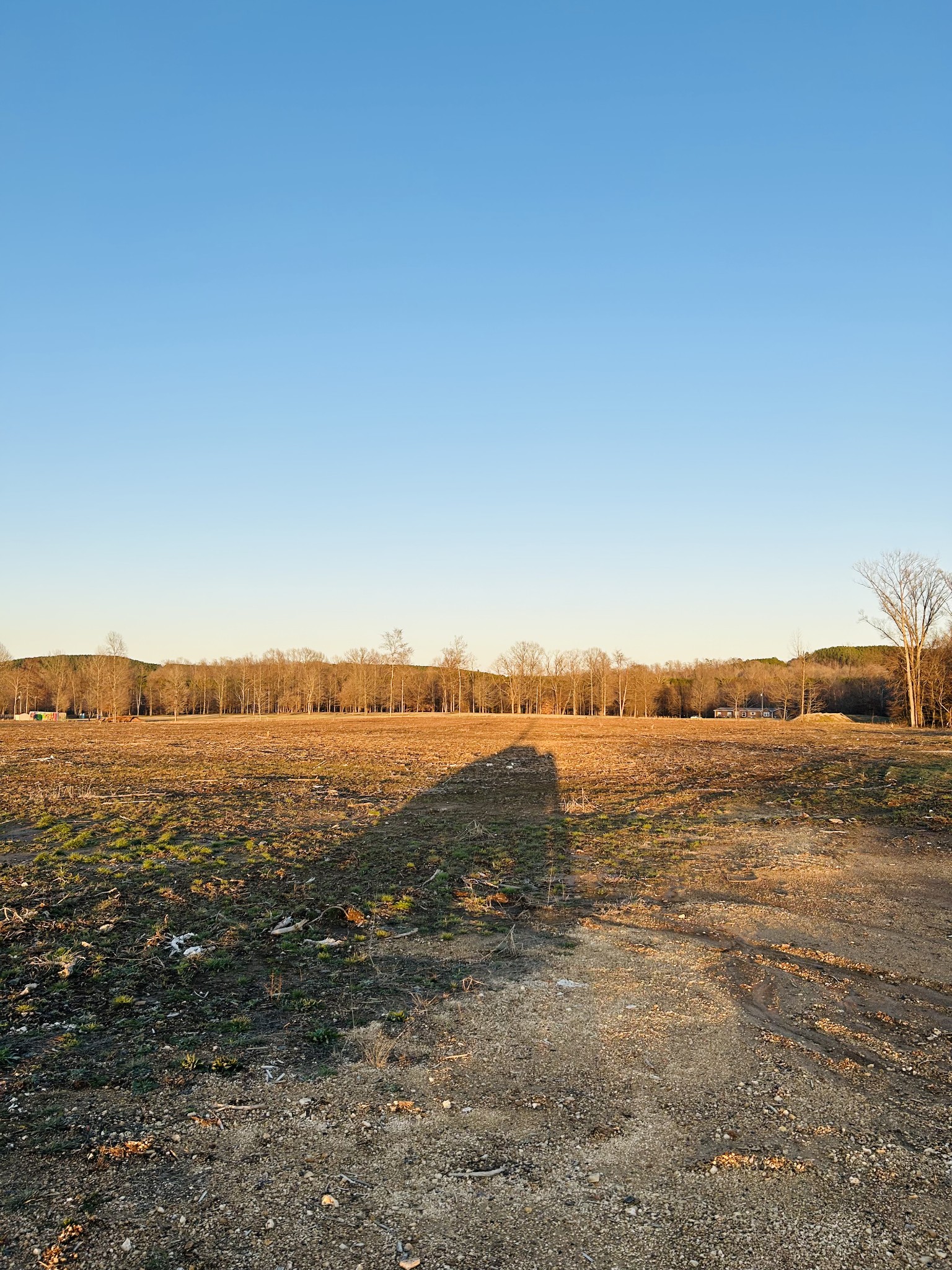 2870 Highway 226 Property Photo 7
