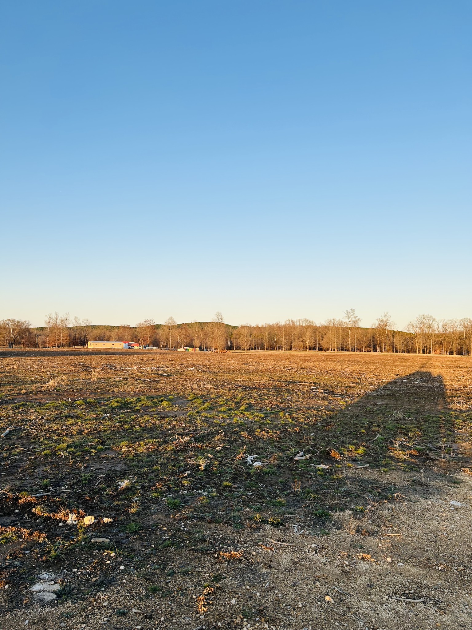 2870 Highway 226 Property Photo 11