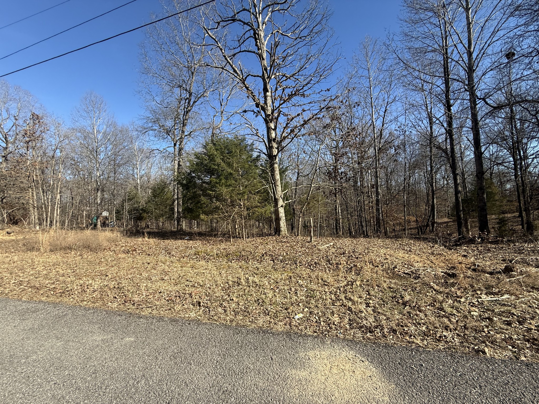 55 Backwoods Estates Property Photo