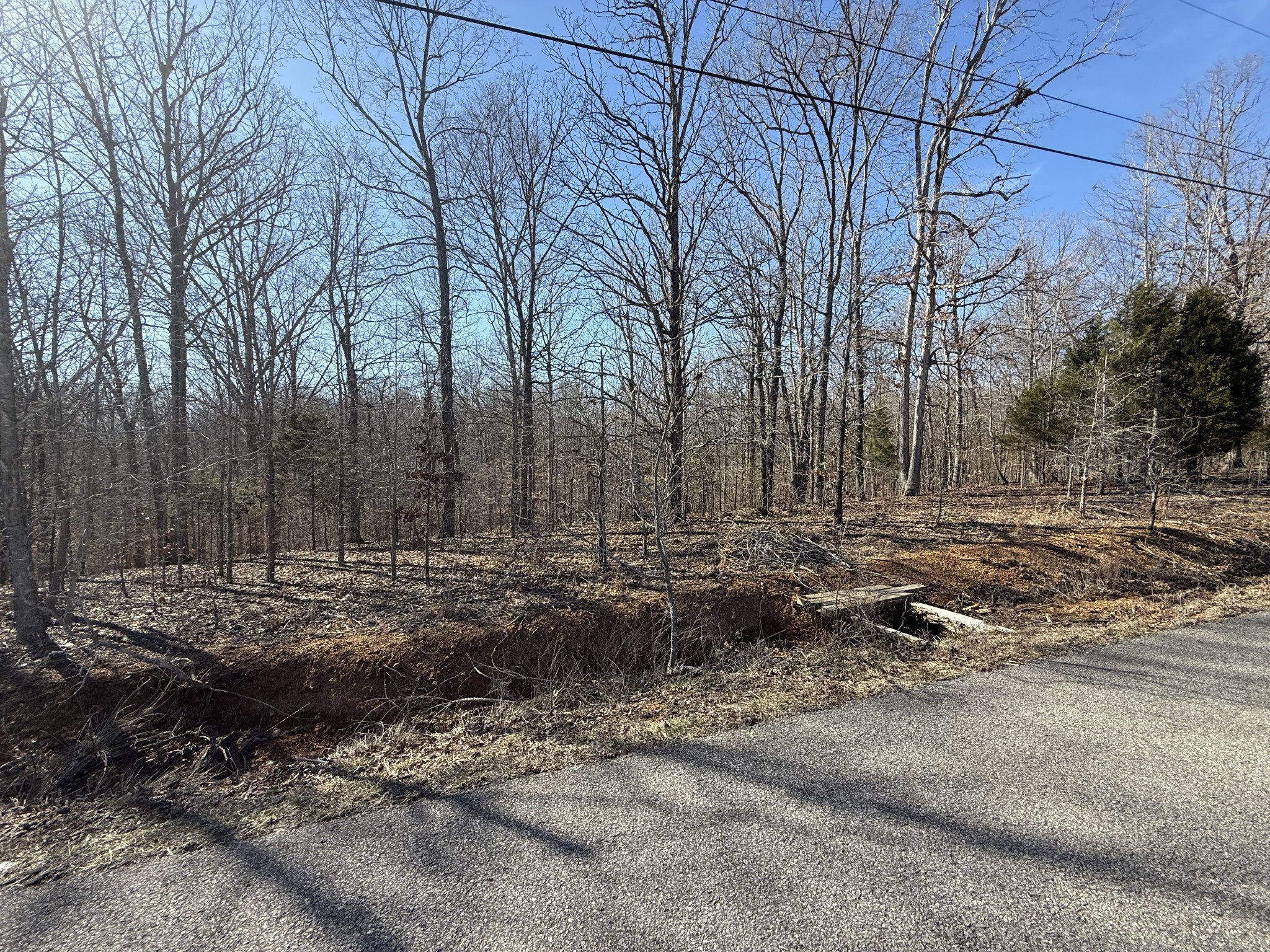29 Backwoods Estates Property Photo 1