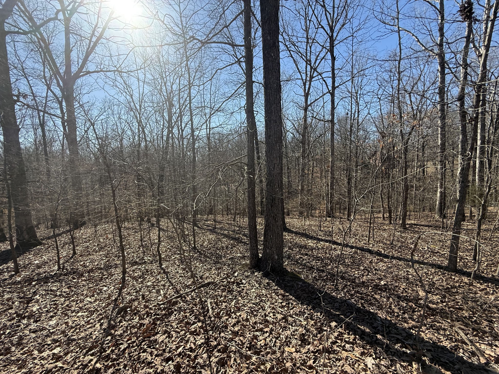 29 Backwoods Estates Property Photo 5