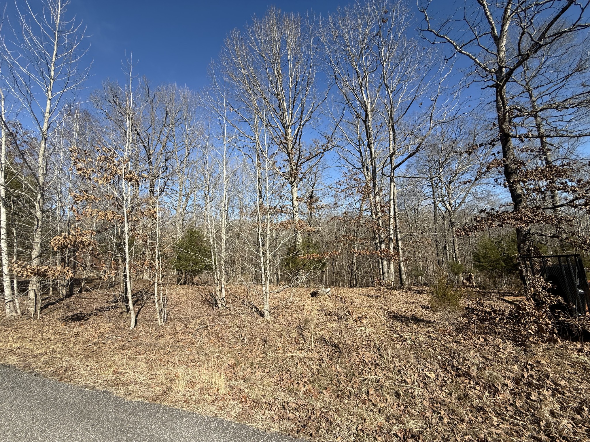 20 Backwoods Estates Property Photo