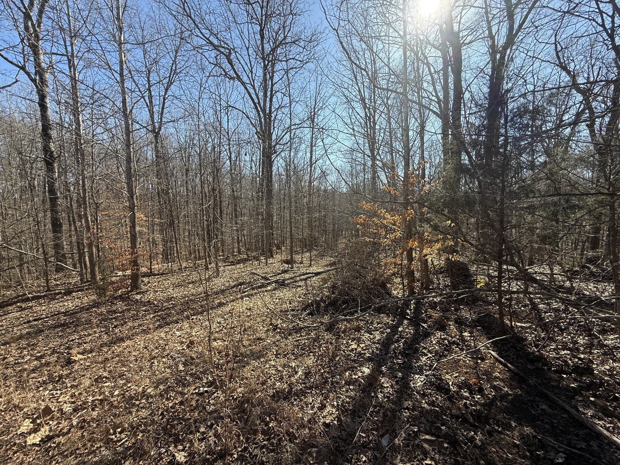 26 Backwoods Estates Property Photo