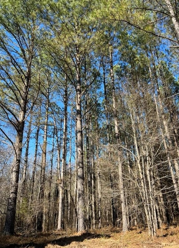 0 Walnut Grove Rd Property Photo 8