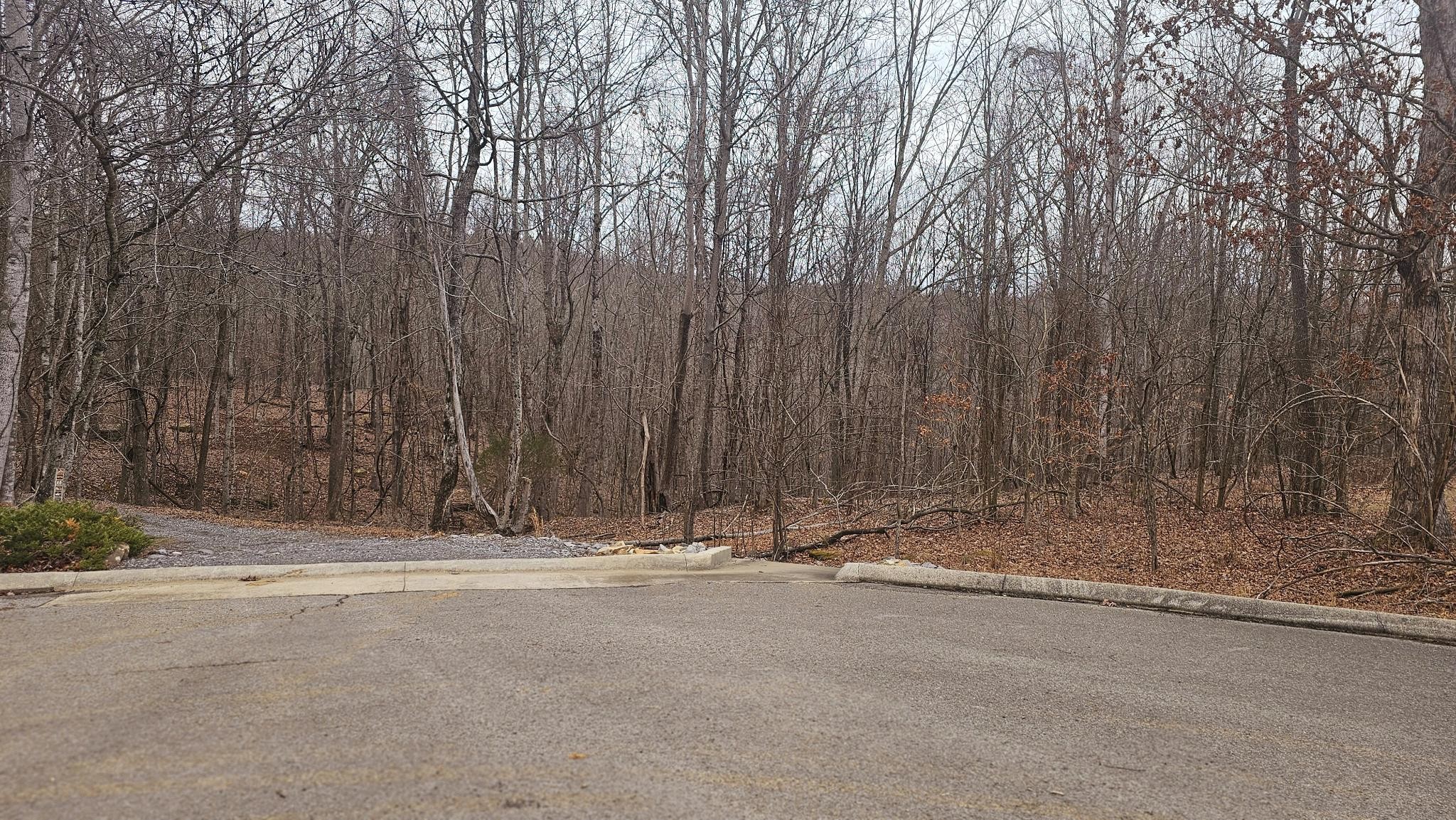 0 Mountain Top Trail Property Photo