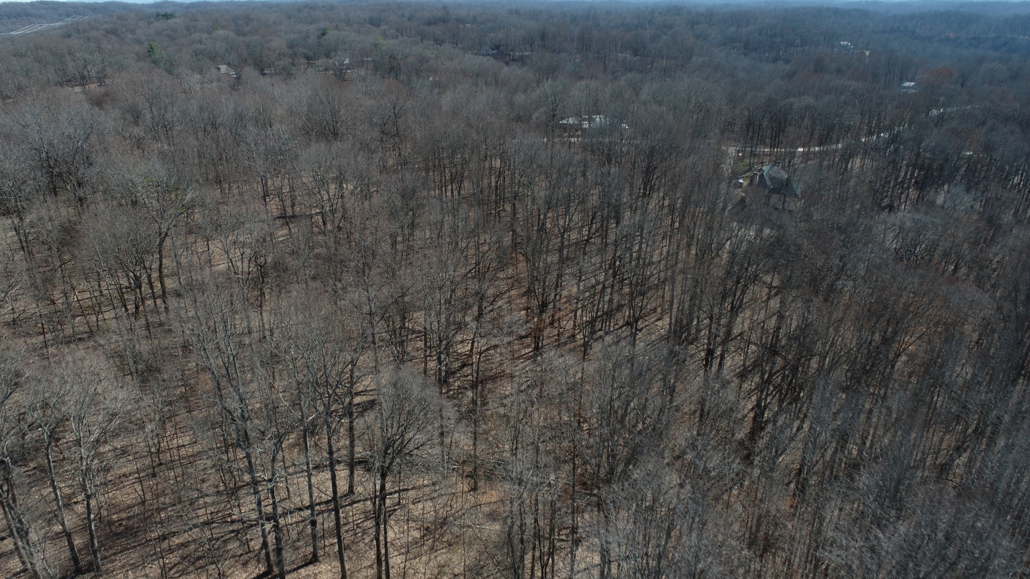 0 Hester Beasley Rd Property Photo 6