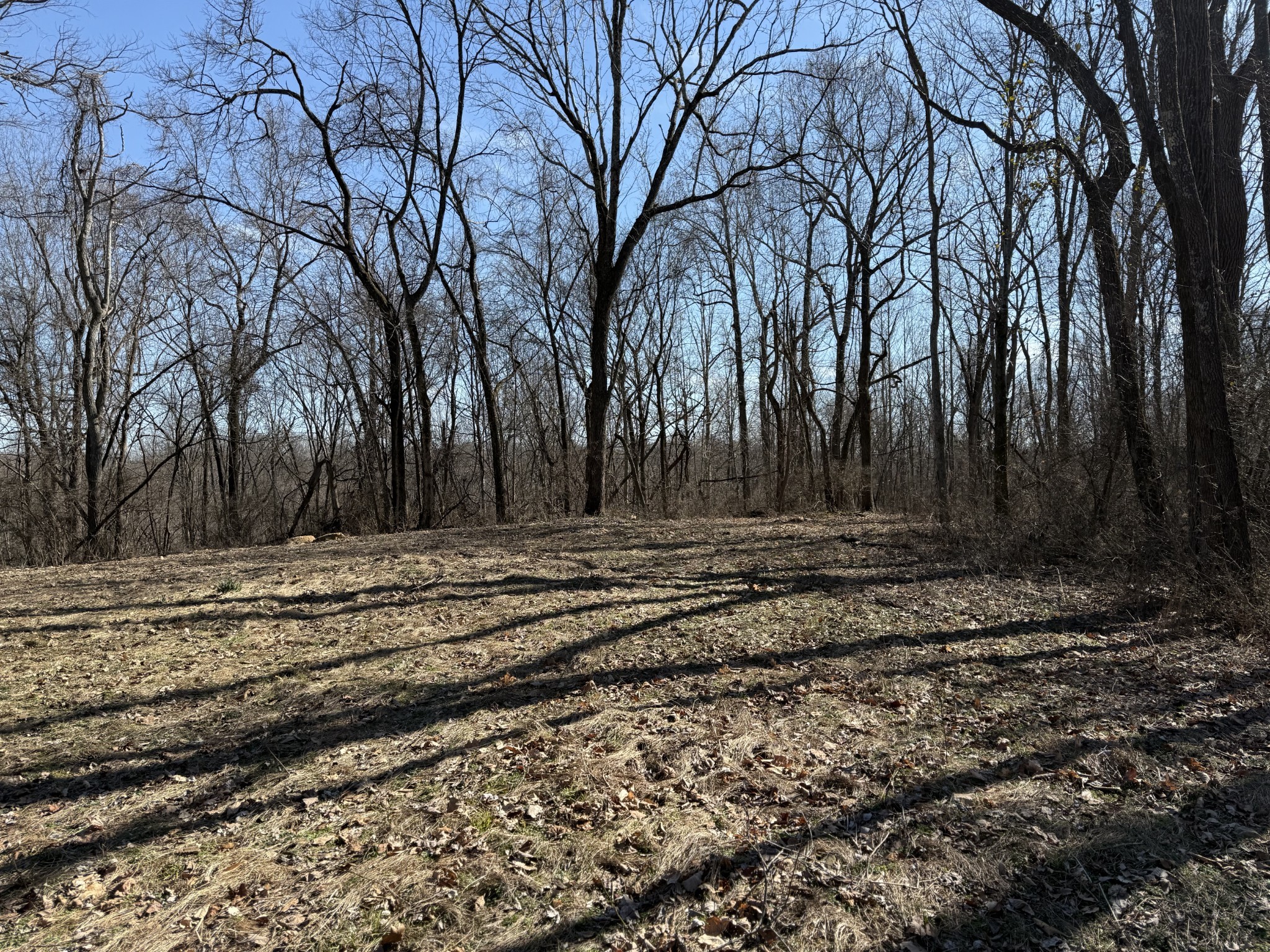 0 Hester Beasley Rd Property Photo 18
