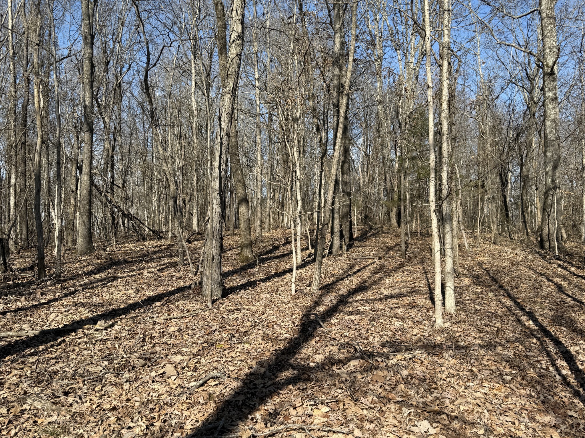 0 Hester Beasley Rd Property Photo 27