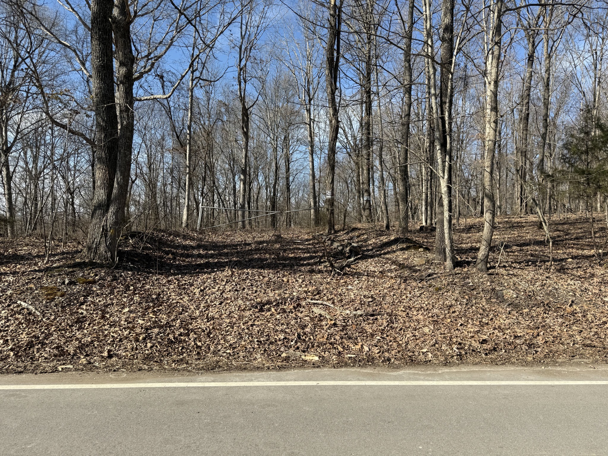 0 Hester Beasley Rd Property Photo 32