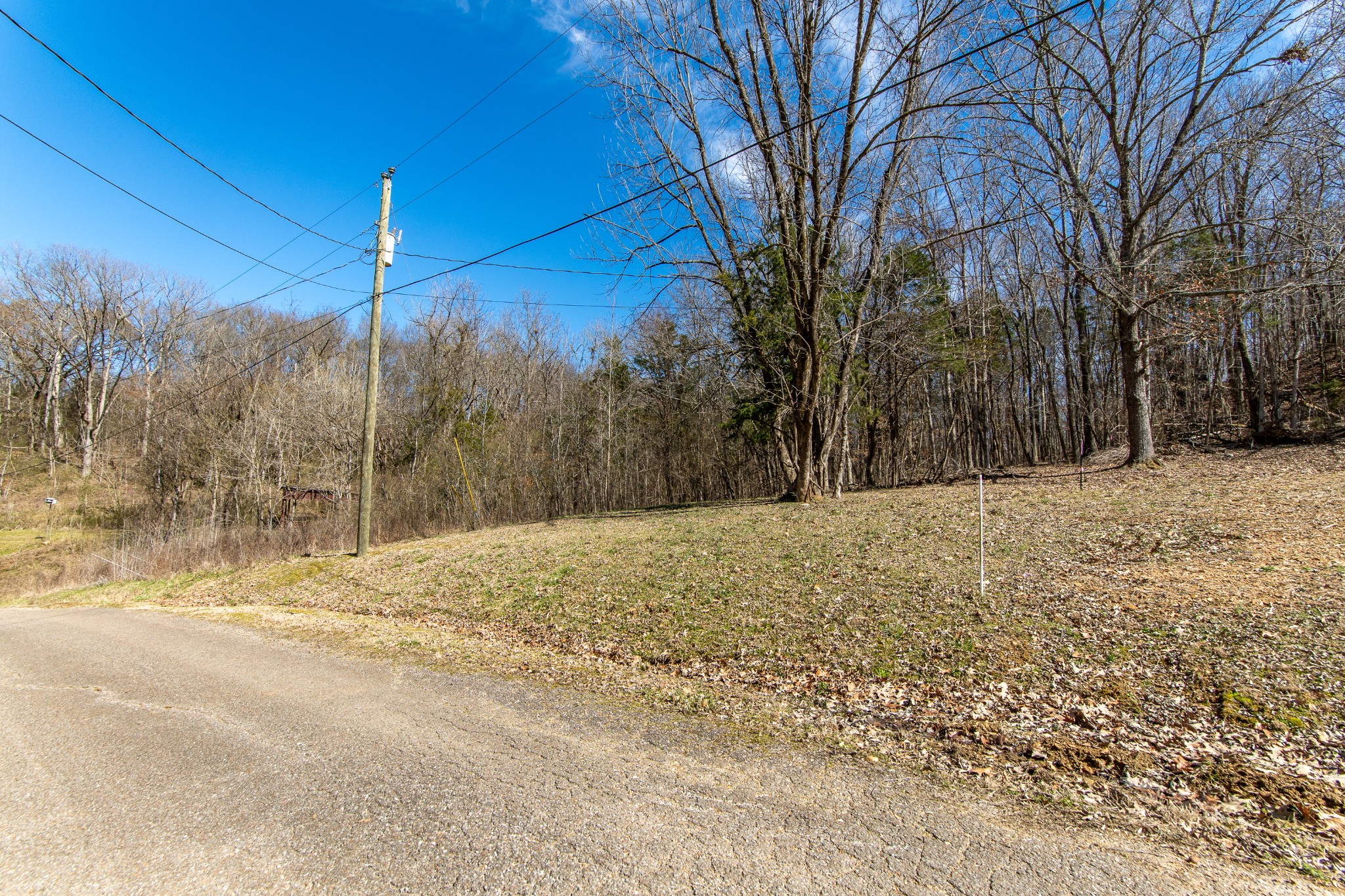 0 Salt Ln Property Photo 3