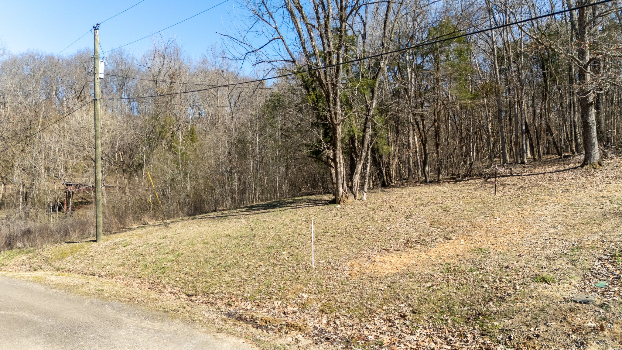 0 Salt Ln Property Photo 5