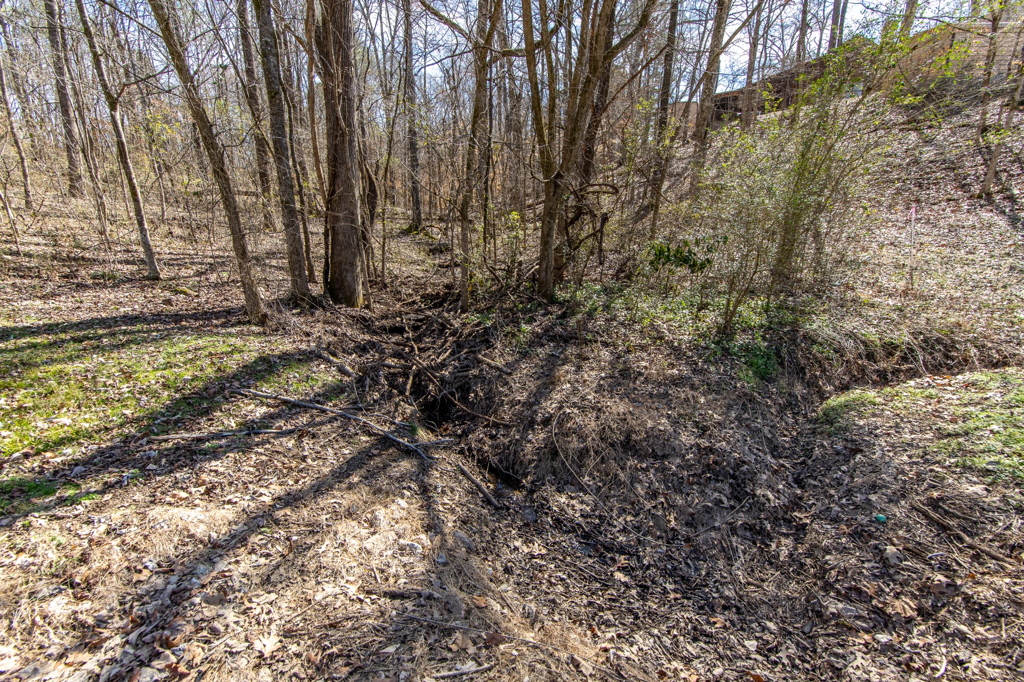 0 Salt Ln Property Photo 3