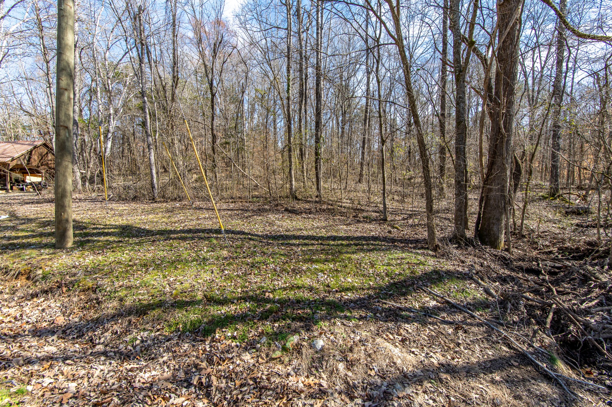 0 Salt Ln Property Photo 4