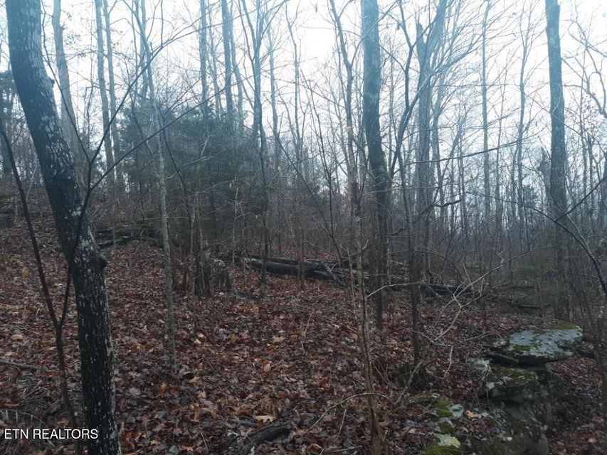 0 Crab Mountain Rd Property Photo 1