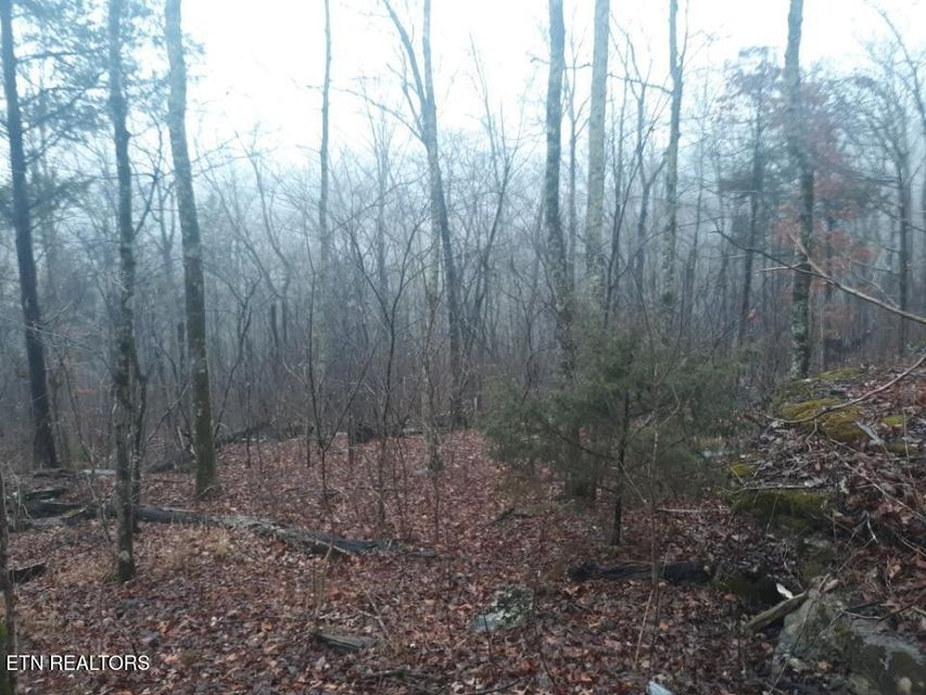 0 Crab Mountain Rd Property Photo 2