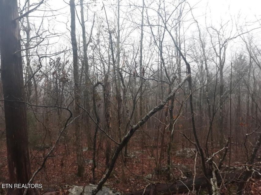0 Crab Mountain Rd Property Photo 4