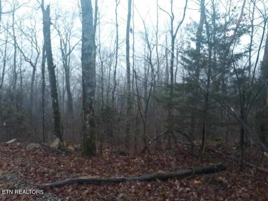 0 Crab Mountain Rd Property Photo 5