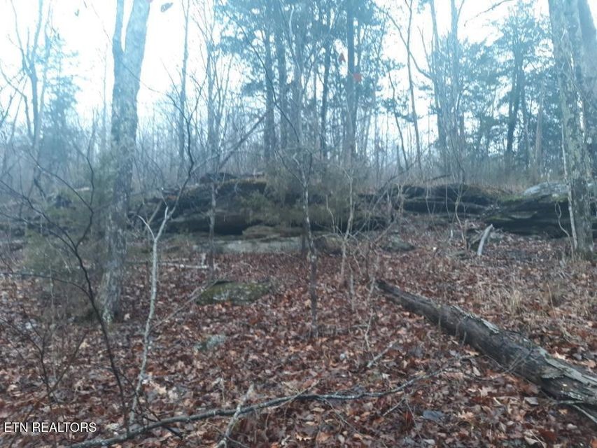 0 Crab Mountain Rd Property Photo 6