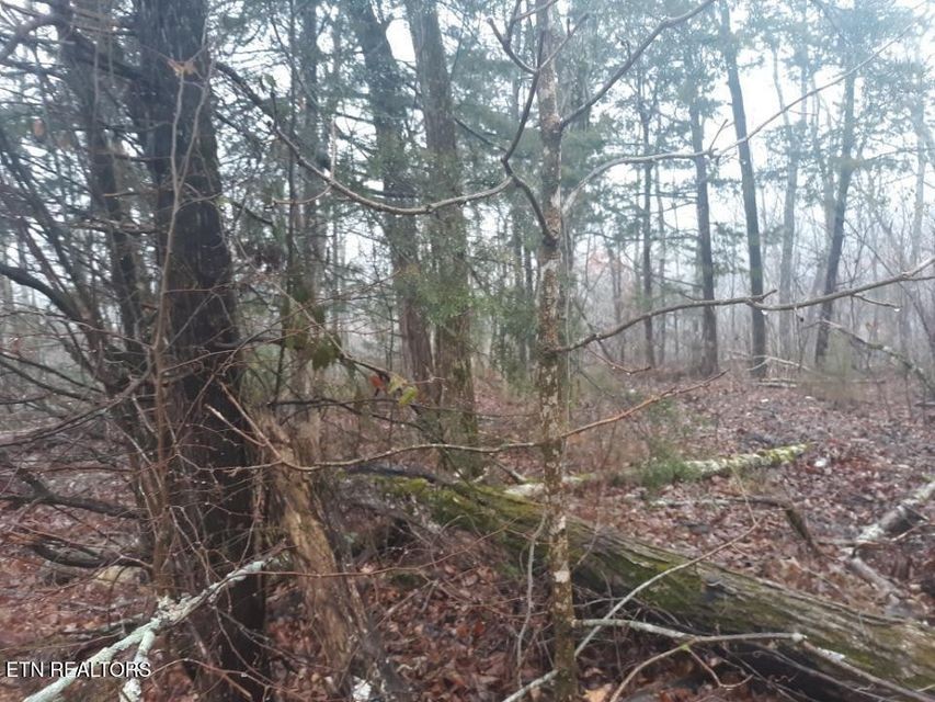 0 Crab Mountain Rd Property Photo 7