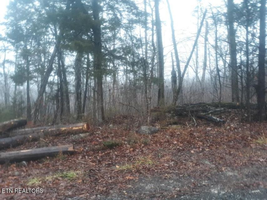 0 Crab Mountain Rd Property Photo 8