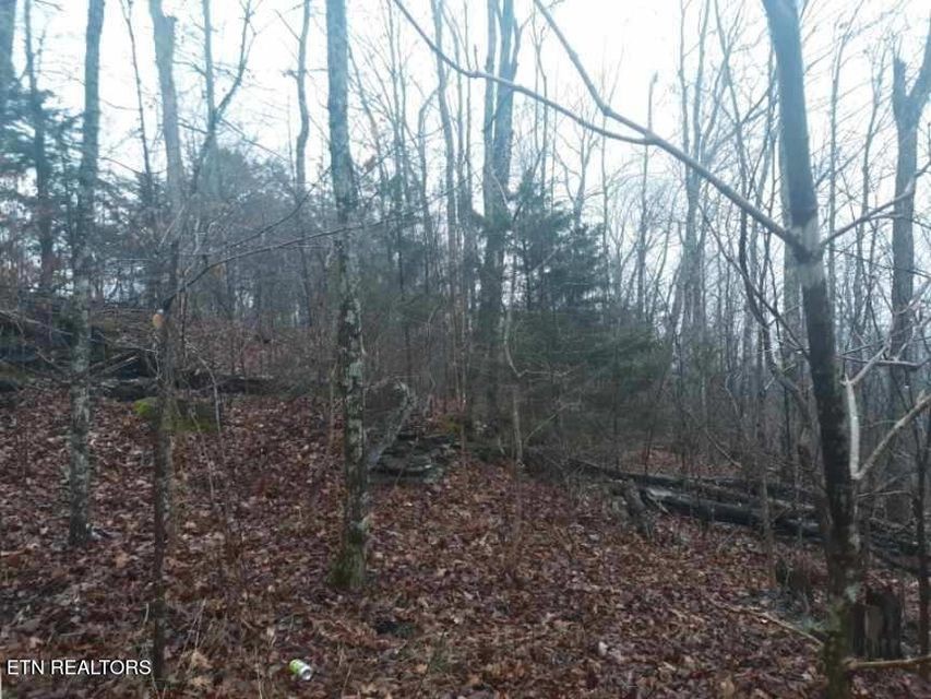 0 Crab Mountain Rd Property Photo 10