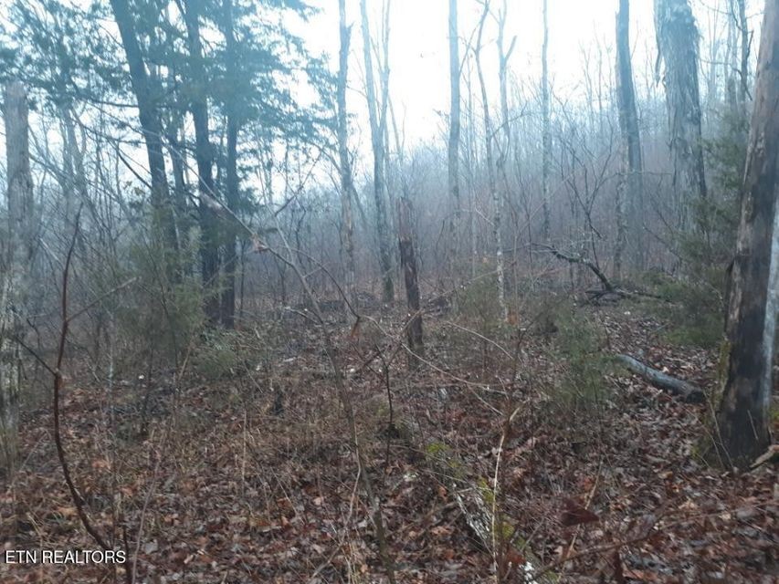 0 Crab Mountain Rd Property Photo 11