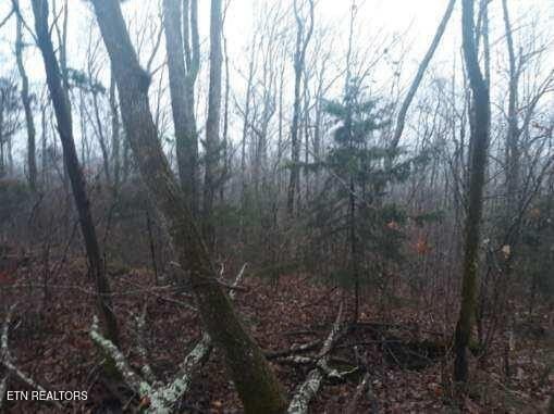 0 Crab Mountain Rd Property Photo 12