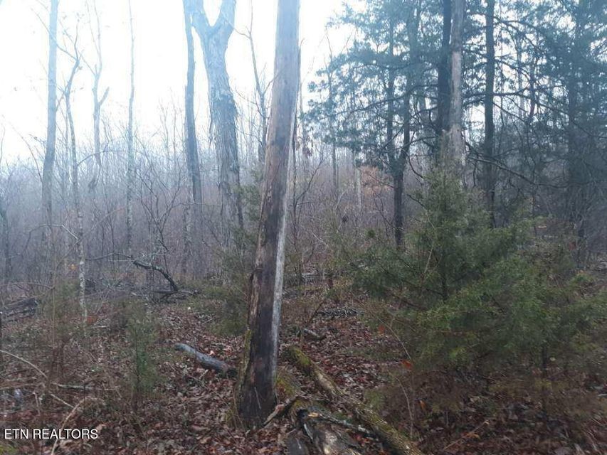 0 Crab Mountain Rd Property Photo 13