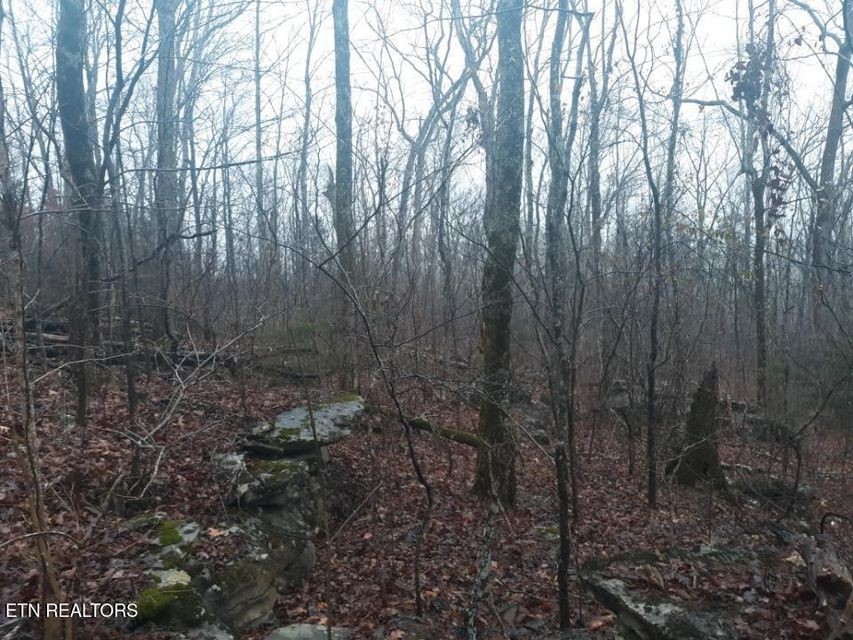 0 Crab Mountain Rd Property Photo 15