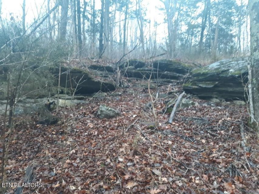 0 Crab Mountain Rd Property Photo 16