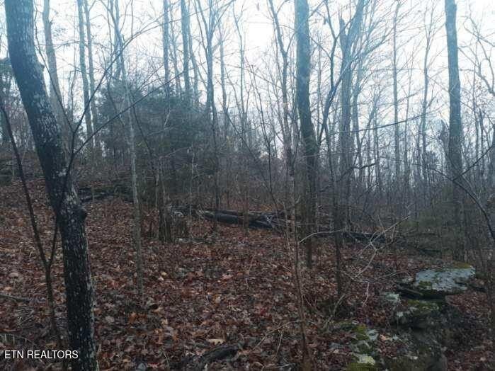 0 Crab Mountain Rd Property Photo 17