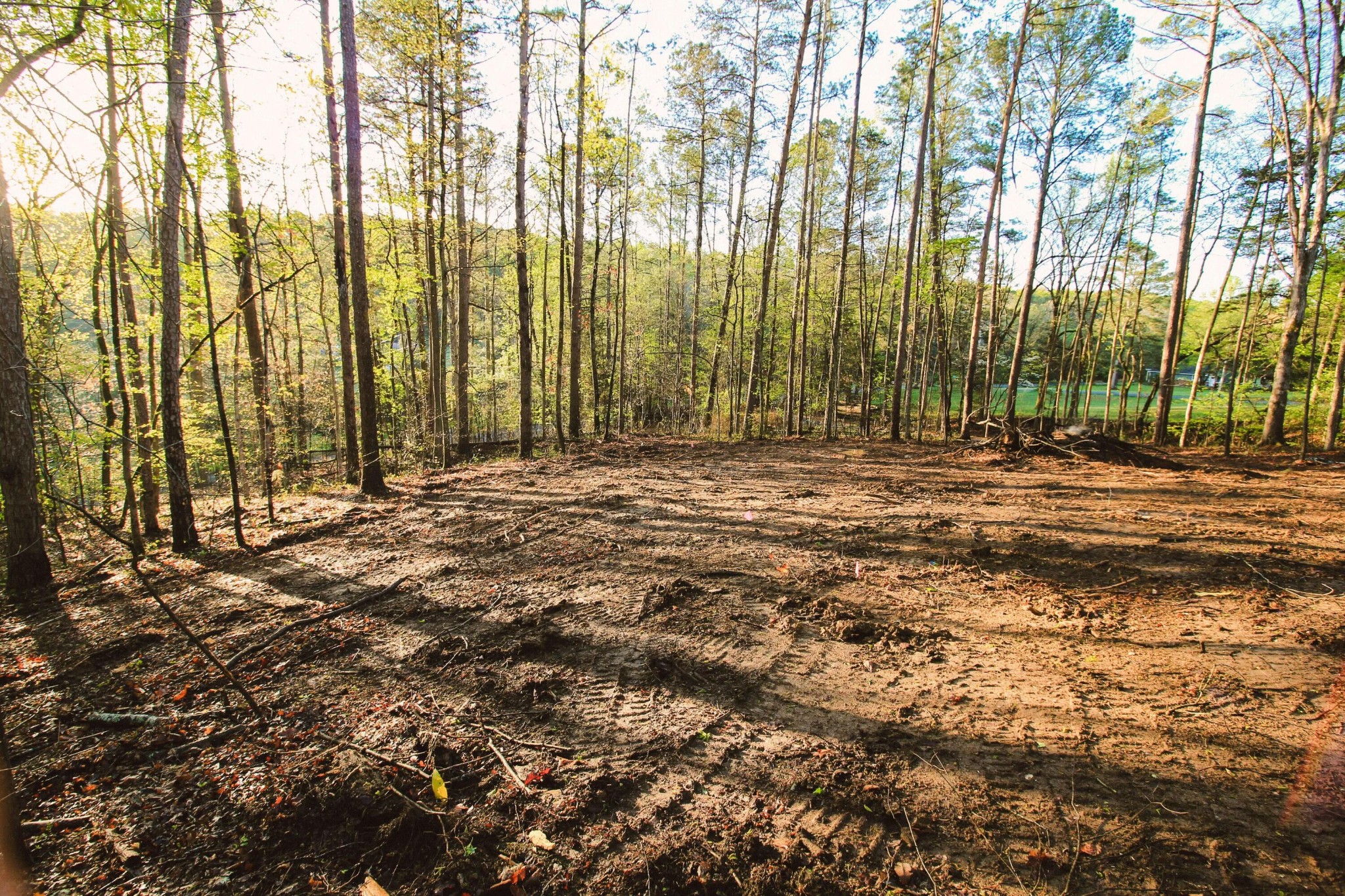 1640 Old Alabama Road, Sw Property Photo 4
