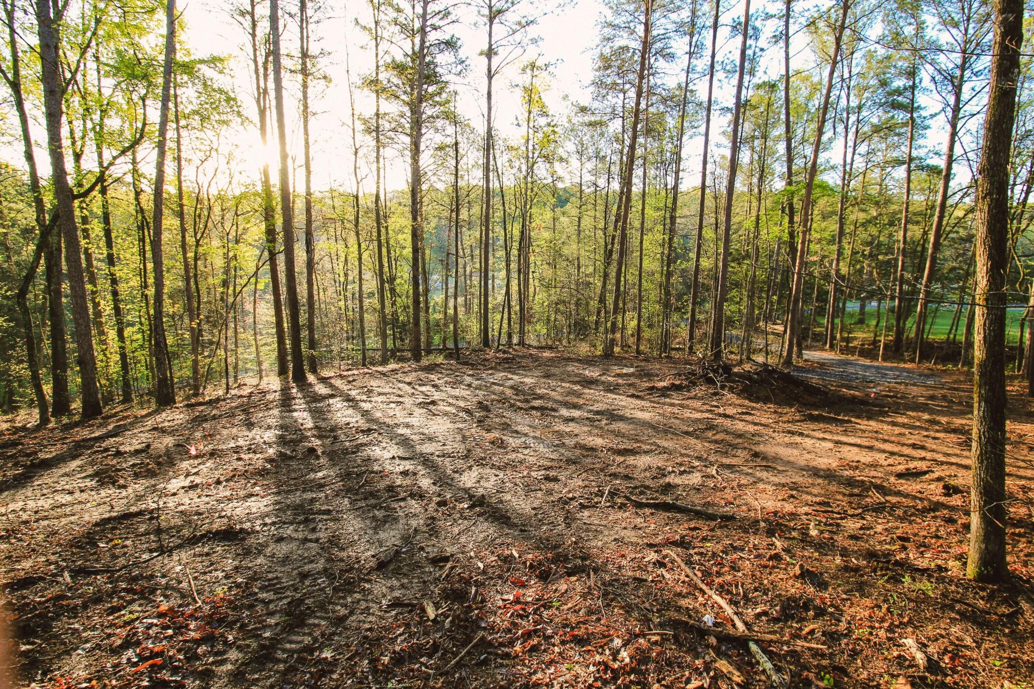 1640 Old Alabama Road, Sw Property Photo 5