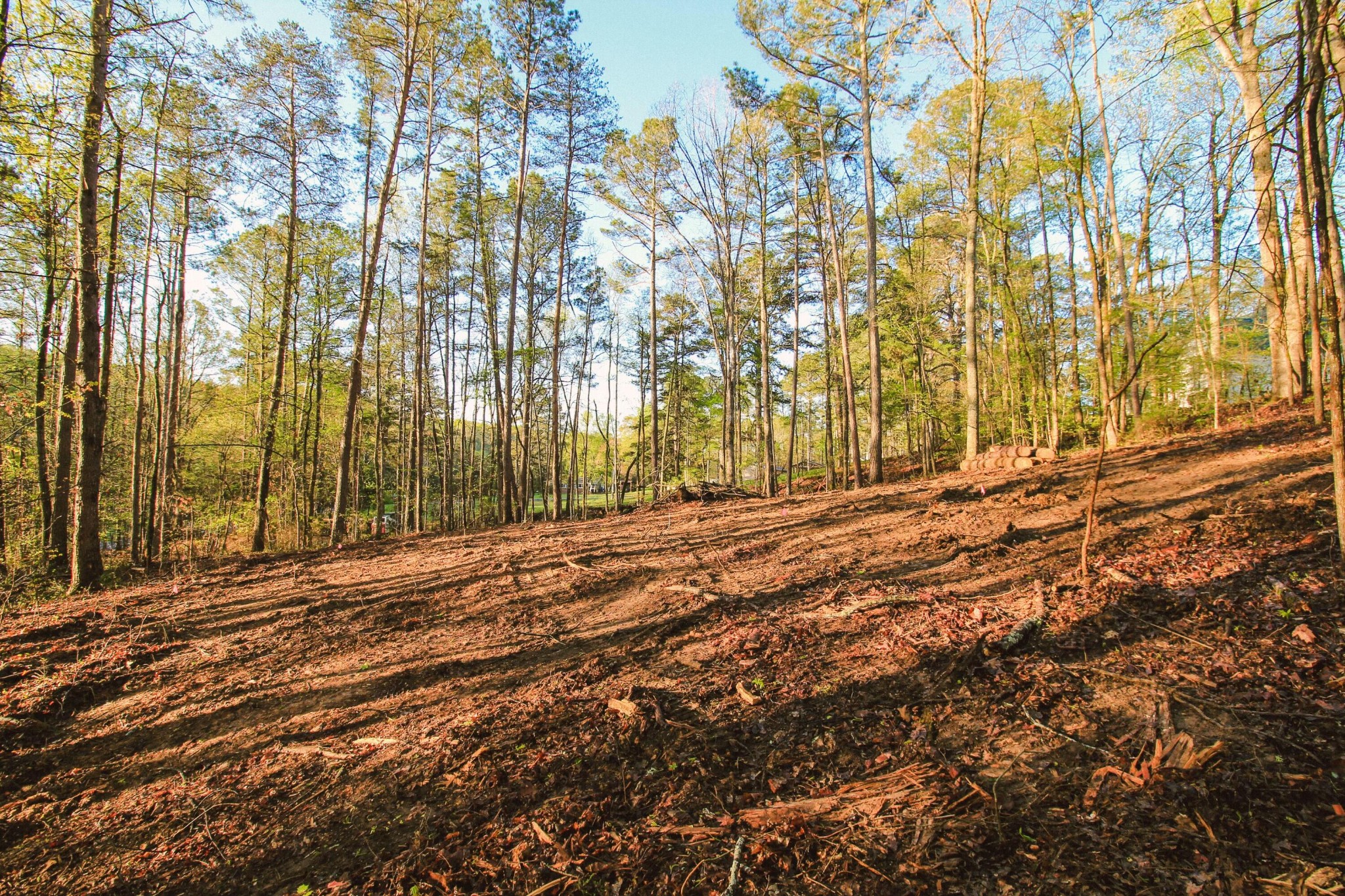 1640 Old Alabama Road, Sw Property Photo 6